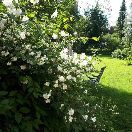 Cozy And Calm House W 3 Bedroom And Bus Connection To Santa Claus بيت للعطل روفانييمي
